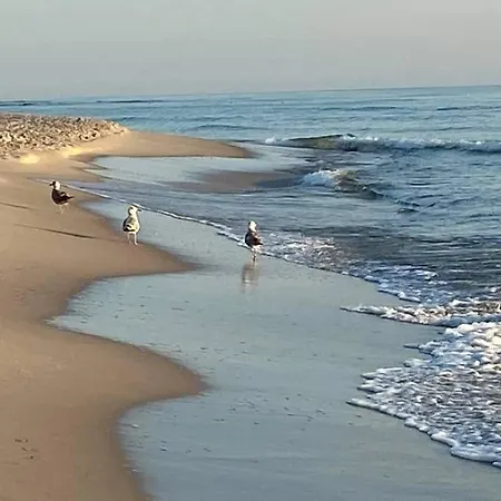 别墅 Najblizej Morza Dom Caloroczny Jastarnia *