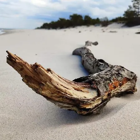 Najblizej Morza Dom Caloroczny Jastarnia * 亚斯塔尔尼亚