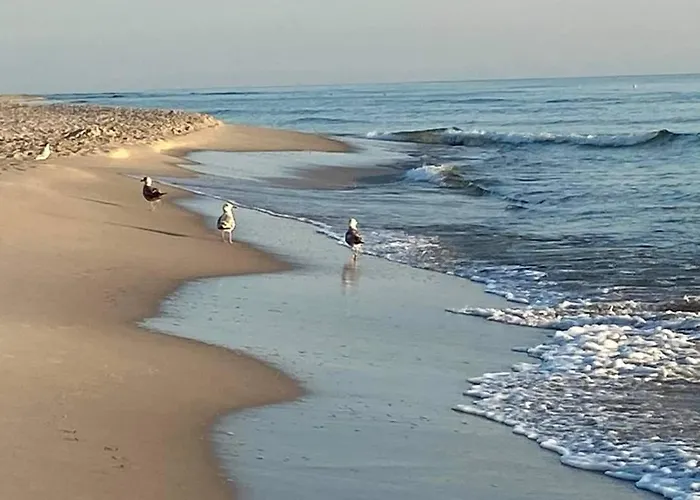 Villa Najblizej Morza Dom Caloroczny *