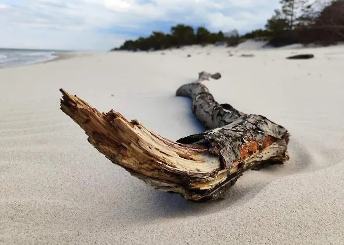 Najblizej Morza Dom Caloroczny * Jastarnia